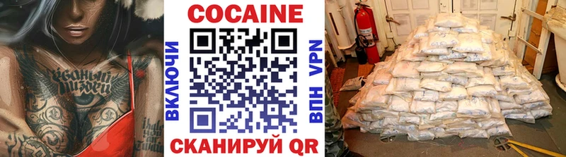 КОКАИН Fish Scale  Купить закладки  Камешково 