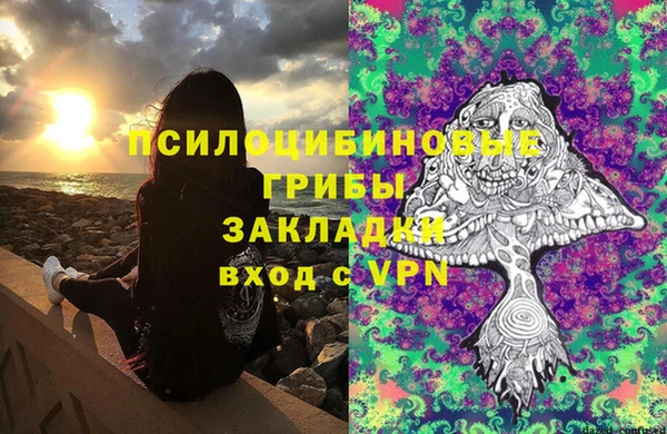 гашик Гусиноозёрск
